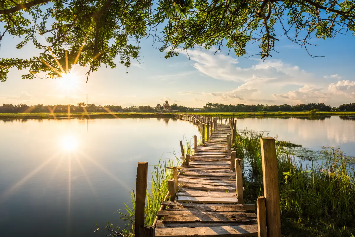Holzsteg führt über ruhiges Wasser bei Sonnenaufgang mit Baumkronen im Vordergrund.