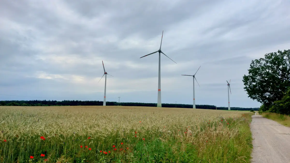 Vier Windkraftanlagen stehen in einem goldenen Getreidefeld unter bewölktem Himmel.